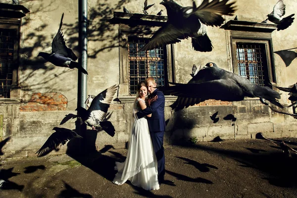 Pombos voam atrás de noiva e noivo abraçando os raios do sol — Fotografia de Stock