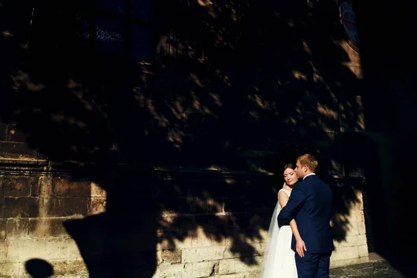 Novio abrazos novia de pie en la sombra de un viejo árbol detrás de th —  Fotos de Stock