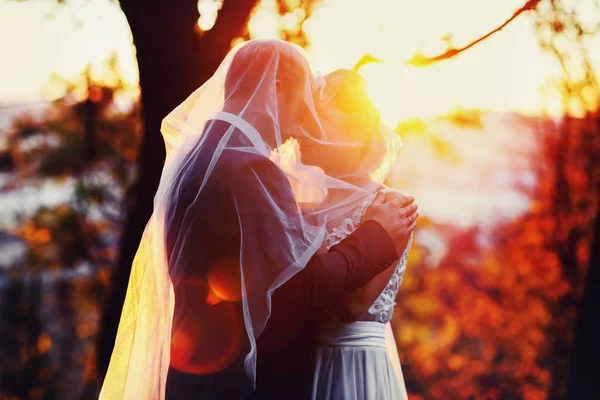 ベールの下に立っている新婚夫婦に黄金の太陽は輝く — ストック写真