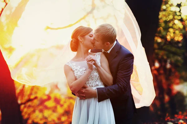 Wind blows bride's veil away while groom kisses her from behind — Stock Photo, Image