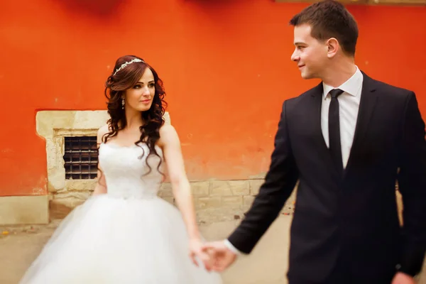 Groom holds a hand of beautiful bride standing behind an orange — Stock Photo, Image