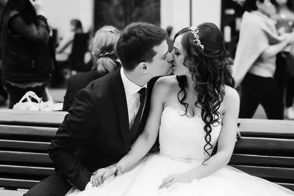 Groom kisses a bride tender sitting with her on a wooden bench — Stock Photo, Image