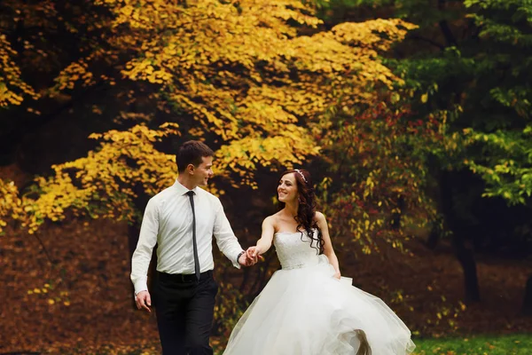 Sposa e sposo passeggiano tra gli alberi in una foresta autunnale — Foto Stock