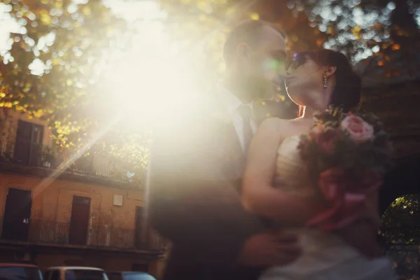 Sun shines behind a stunning kissing wedding couple — Stock Photo, Image