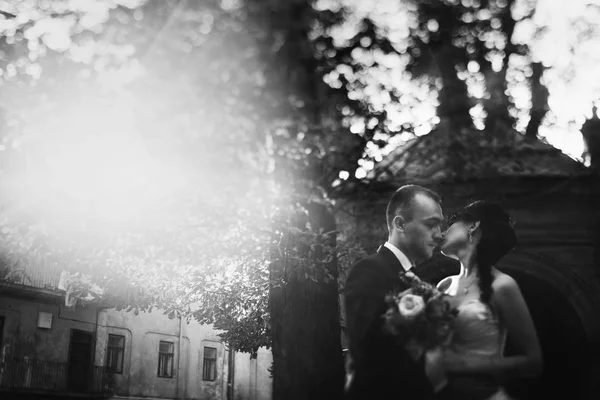 Пункт сонця позаду поцілункової весільної пари — стокове фото