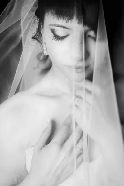 A portrait of sensitive brunette hidden under a white veil — Stock Photo, Image