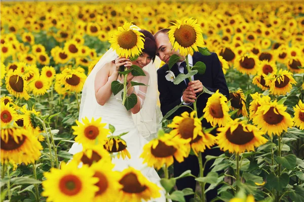 Divertida pareja casada posan en el campo sosteniendo girasoles en el — Foto de Stock