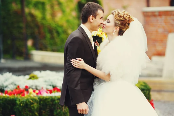 Bride and groom touch each other noses standing in the garden — Stock Photo, Image