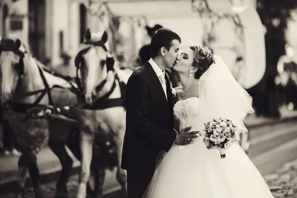 Kissing newlyweds stand in the front of a carriage with horses — Stock Photo, Image