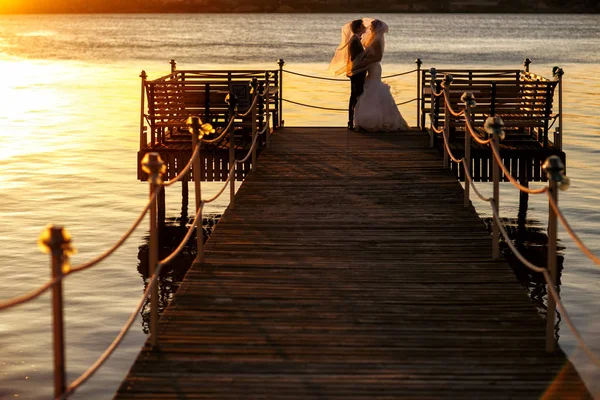 El velo de la novia cubre la mano del novio mientras están de pie en un brote de madera — Foto de Stock