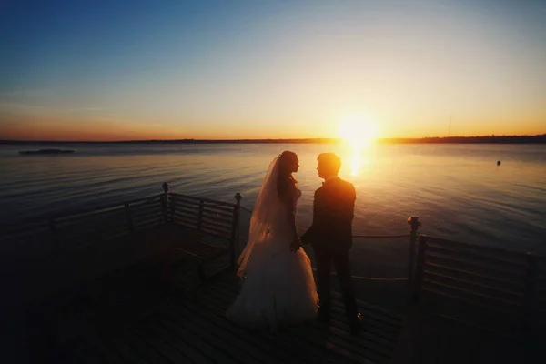 Siluetas de recién casados observando la puesta de sol en una orilla del mar — Foto de Stock