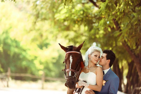 Νύφη και ένας γαμπρός δίπλα από το άλογο στο πάρκο — Φωτογραφία Αρχείου