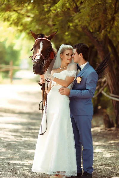 Paseo a caballo por el parque en el día de la boda — Foto de Stock