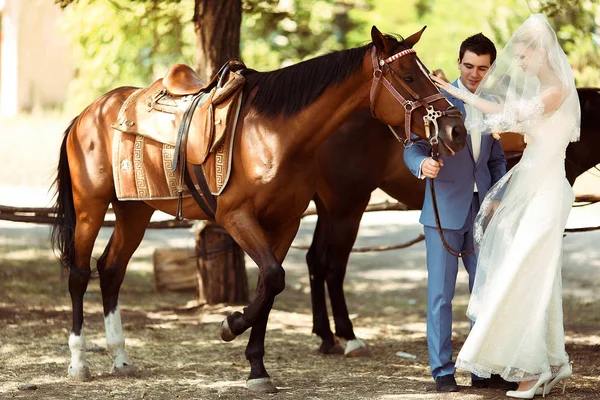 Kahverengi at ve güzel elbiseli bir gelin — Stok fotoğraf