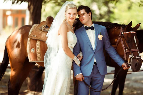 Весела наречена і наречений біля коня — стокове фото