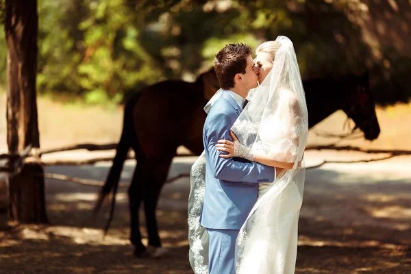 Весільний поцілунок двох у парку — стокове фото