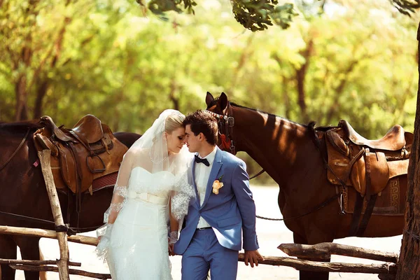 Zwei Pferde und ein Paar am Hochzeitstag — Stockfoto