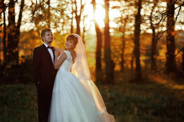 De bruiden staan in het park — Stockfoto