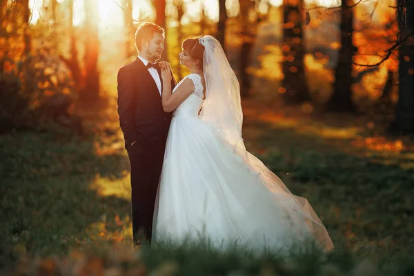 Die Bräute stehen im Park — Stockfoto