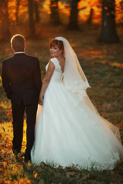 Nevěsty stojí v parku — Stock fotografie