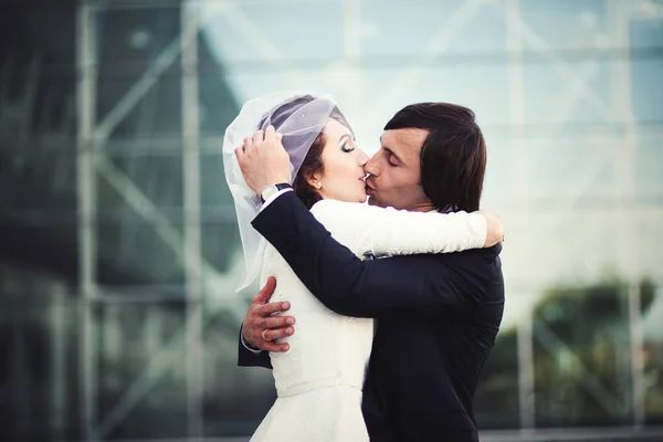 Baiser passionné de couple élégant posant à l'avant d'un verre — Photo