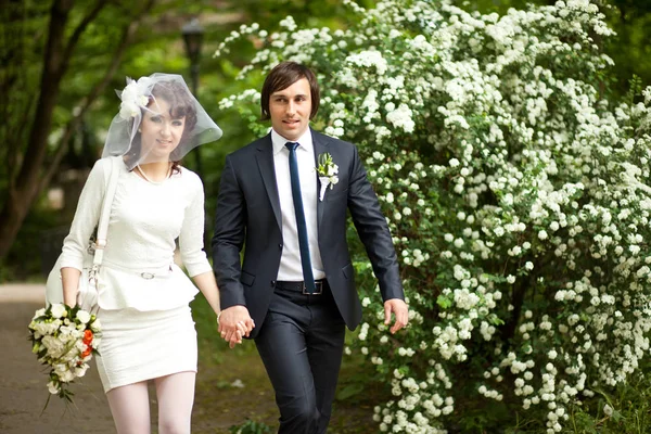 세련 된 신혼 부부도로 sourrounded 흰색 파 따라 산책 — 스톡 사진