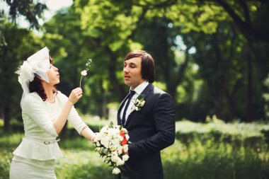 Gelin Damat'ın yüzünde bir karahindiba darbeler 