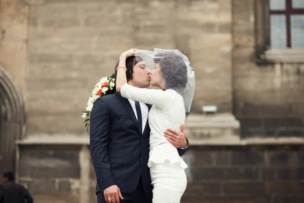 Bride kisses a groom hiding him under a short veil — Stock Photo, Image