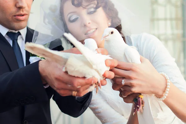 Pareja de boda sostiene palomas blancas en sus manos — Foto de Stock
