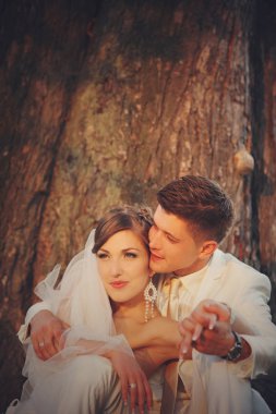 Tr altında otururken günbatımı yeni evliler yüzler aydınlatır