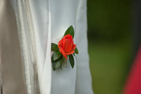 Κόκκινο τριαντάφυλλο καρφώθηκε λευκό σακάκι του γαμπρού — Φωτογραφία Αρχείου