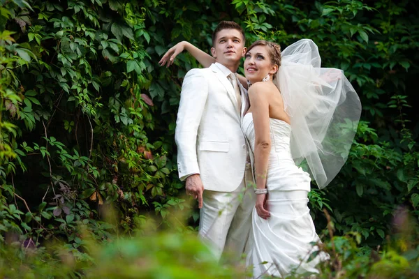 Imagem brilhante de recém-casados em pé na vegetação — Fotografia de Stock