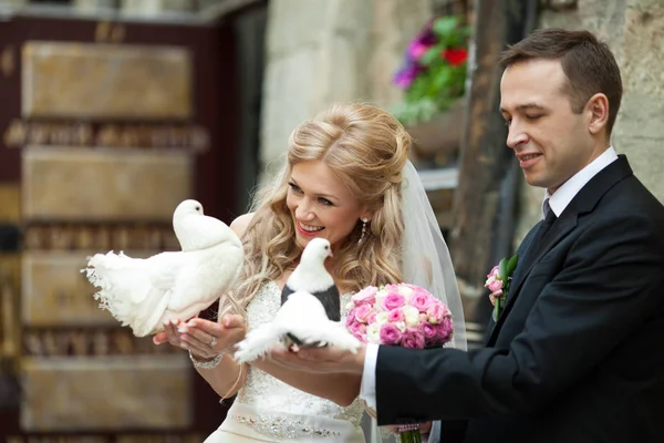 Наречений і наречений дивляться на білих голубів, що сидять на долонях — стокове фото