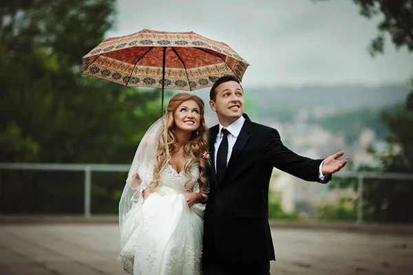 Recém-casados estão sob um guarda-chuva laranja esperando a chuva — Fotografia de Stock