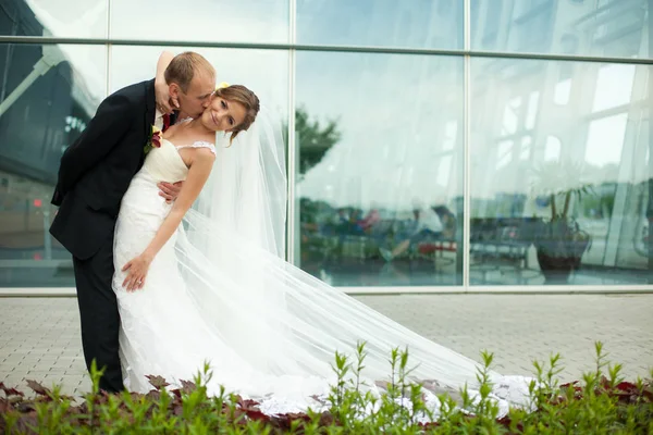 Groom beija uma noiva em vestido lindo dobrando-a sobre — Fotografia de Stock
