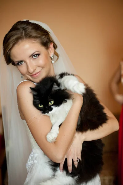 Hübsche Braut hält eine flauschige Katze auf der Brust — Stockfoto