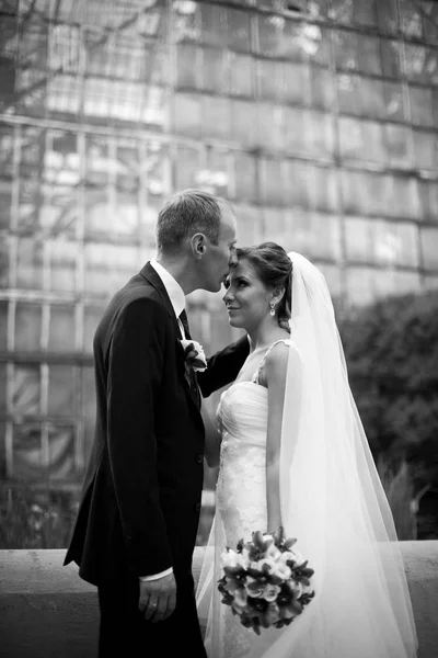 Preto e branco retrato de noivo beijar noiva 's testa no — Fotografia de Stock