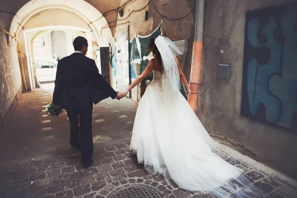 Bräutigam hält Braut die Hand, die mit ihr in einer alten Gasse spaziert — Stockfoto