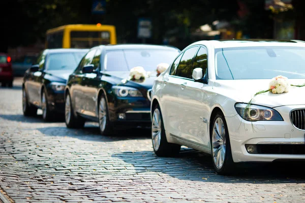 Ramos blancos decoran una procesión de BMW blancos — Foto de Stock