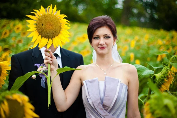 Jolie mariée Higes visage de marié derrière un énorme tournesol — Photo