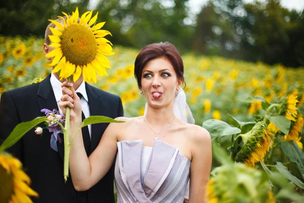 Mariée drôle tient un énorme tournesol devant le visage du marié — Photo