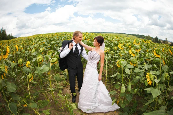 Imagem arredondada de casal de casamento feliz em pé no campo de — Fotografia de Stock