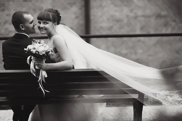 El viento sopla velo de novia a lo largo del banco mientras ella se sienta con un gr — Foto de Stock