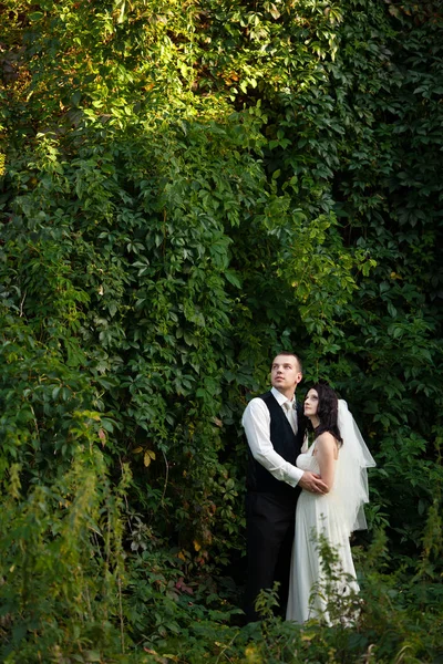 Casamento casal olha para o céu, enquanto em pé no alto gr — Fotografia de Stock
