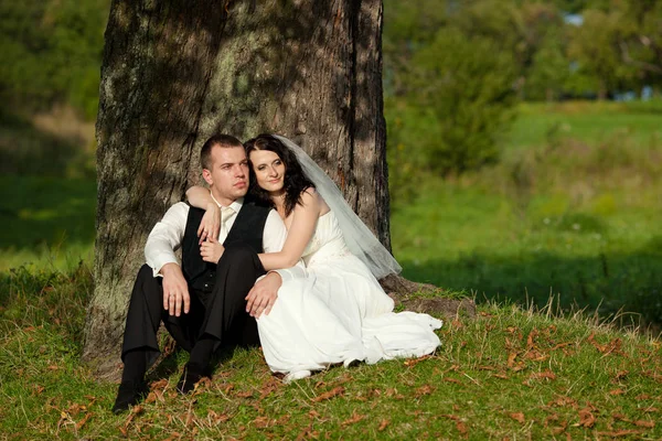 Linda noiva se inclina no ombro do noivo enquanto sentado sob um — Fotografia de Stock