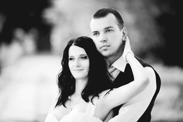 Fekete-fehér képet jóképű vőlegény átölelve gyönyörű brid — Stock Fotó