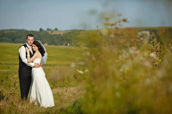 Noiva macia com cachos pretos se inclina para um noivo alto em colete — Fotografia de Stock