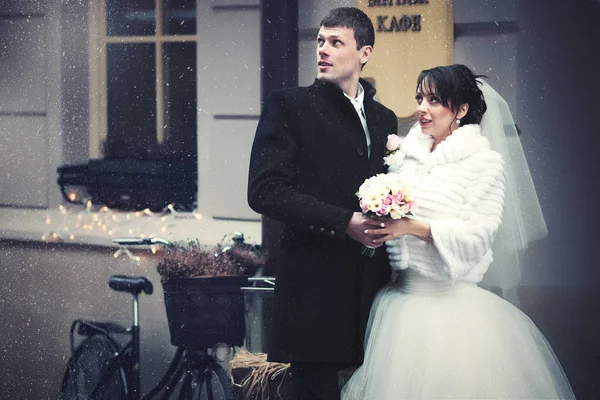 Sposa e sposo guardano nel cielo in piedi dietro una vecchia bicicletta — Foto Stock