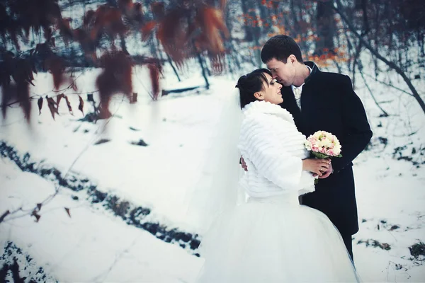 Blick aus roten Blättern auf ein Hochzeitspaar, das im Schnee steht — Stockfoto