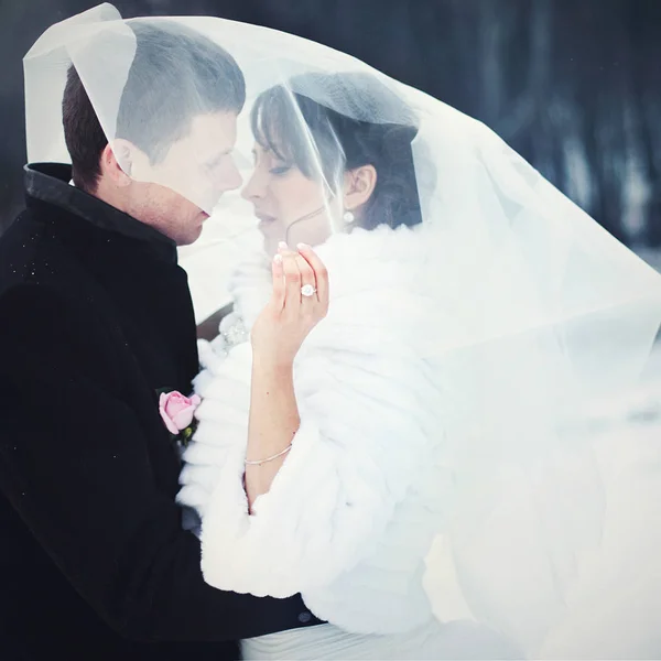 Sposa copre sposo con un velo in piedi nella nevicata — Foto Stock